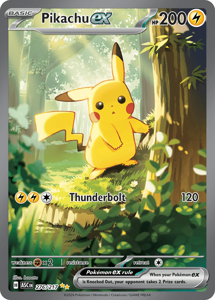 Pokémon Karte 2